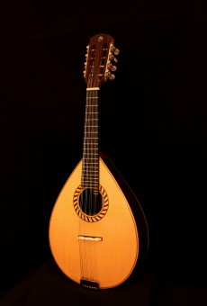 Mandolin