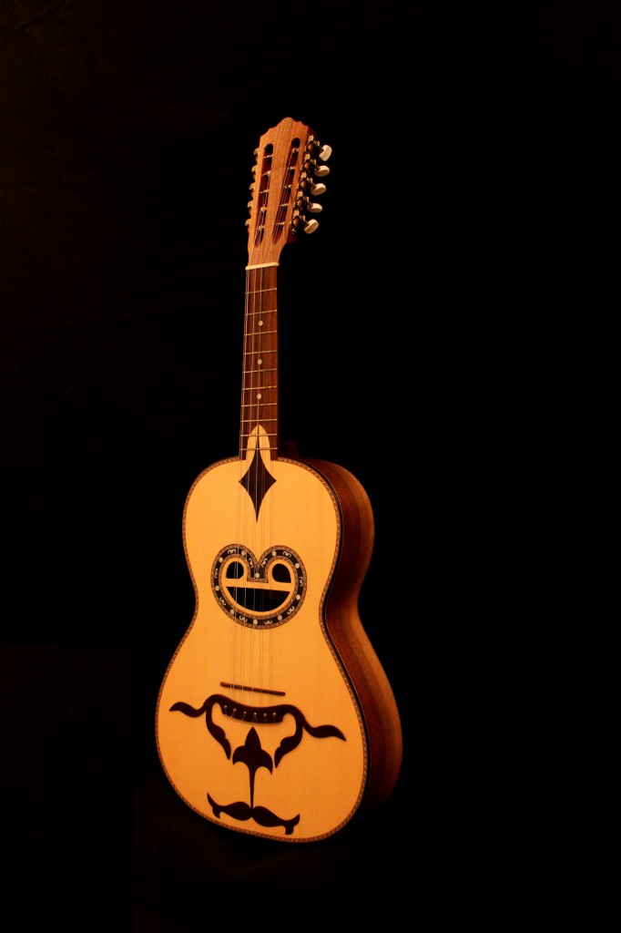 Viola Braguesa