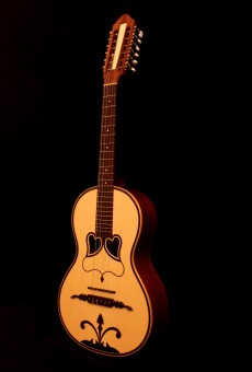 Viola da Terra (Terra Guitar)